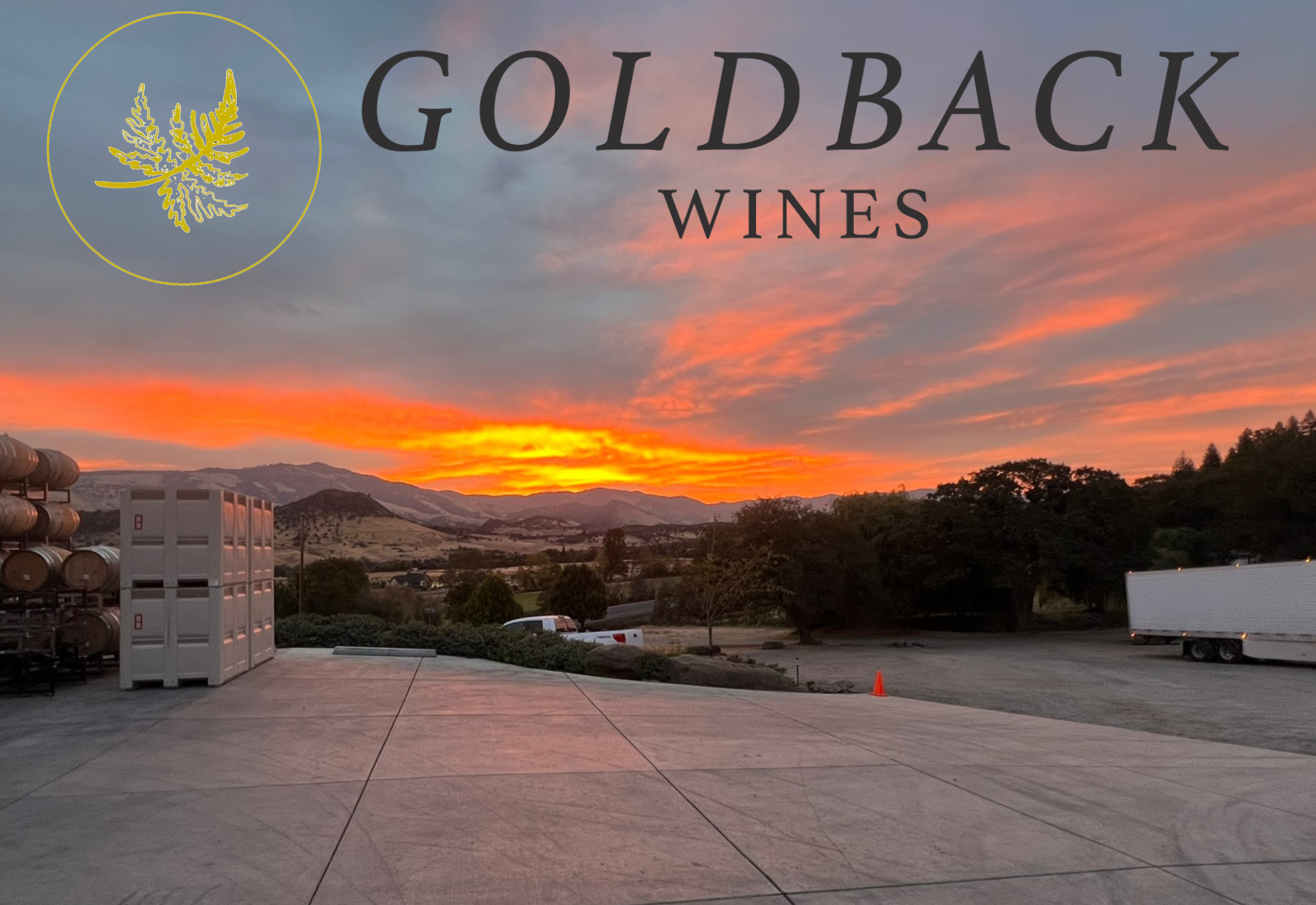 Goldback 10 Year Anniversary Library Tasting Series: Grenache